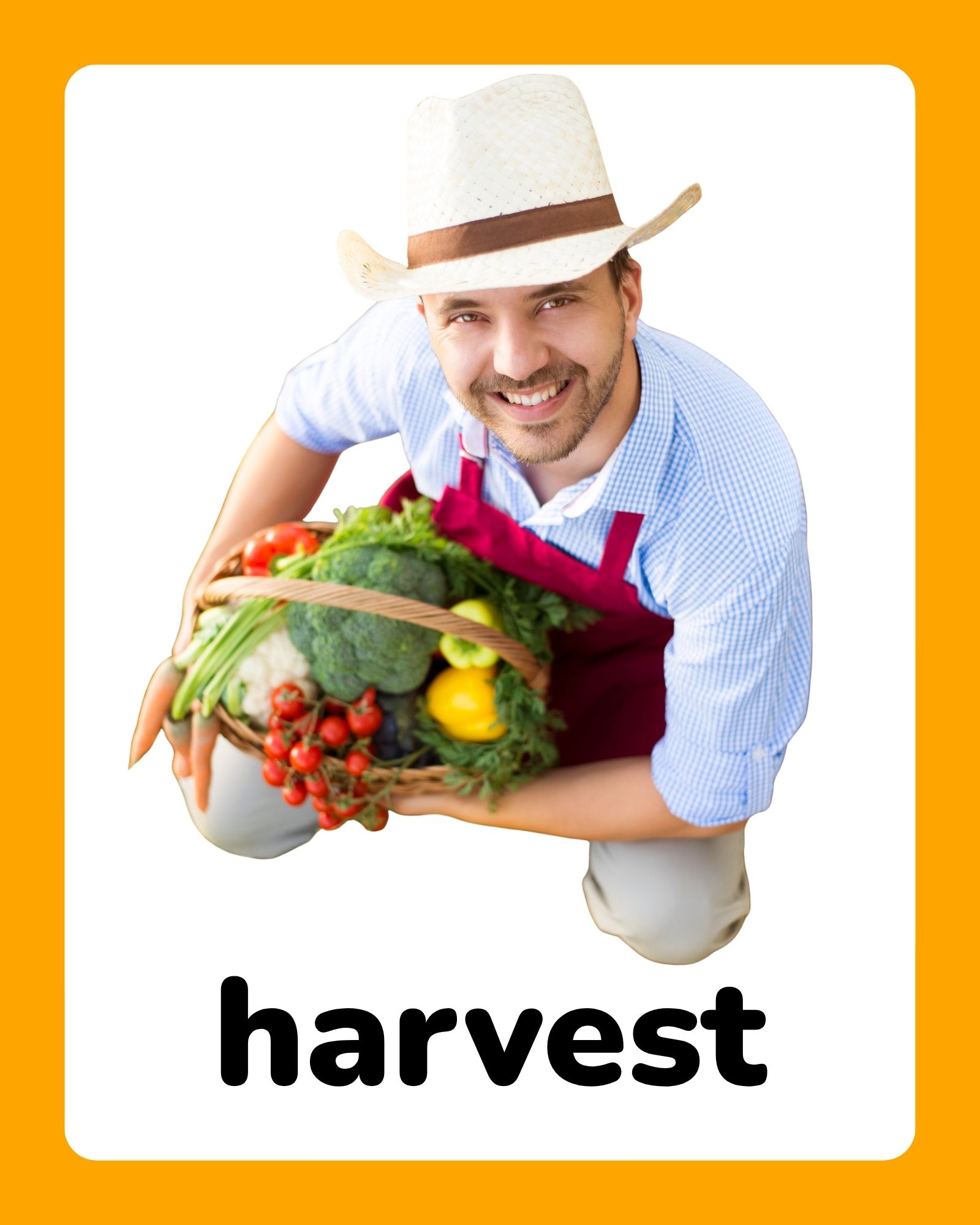 Smiling man in a straw hat and checked shirt holds a basket of vegetables while kneeling against a white and orange background.