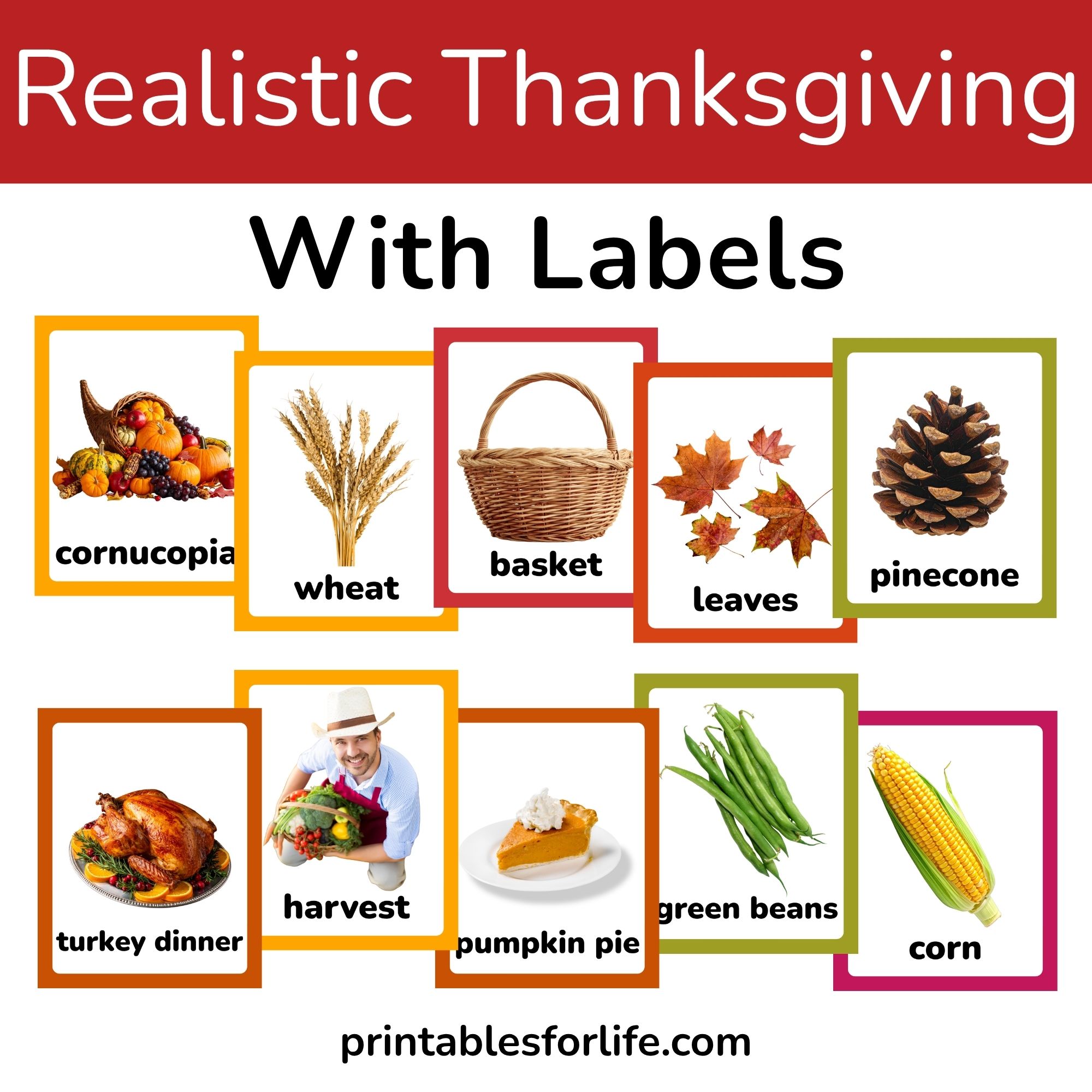Colorful Thanksgiving vocabulary cards arranged in staggered rows showing cornucopia, wheat, basket, leaves, pinecone, turkey, harvest, pie, green beans, and corn.