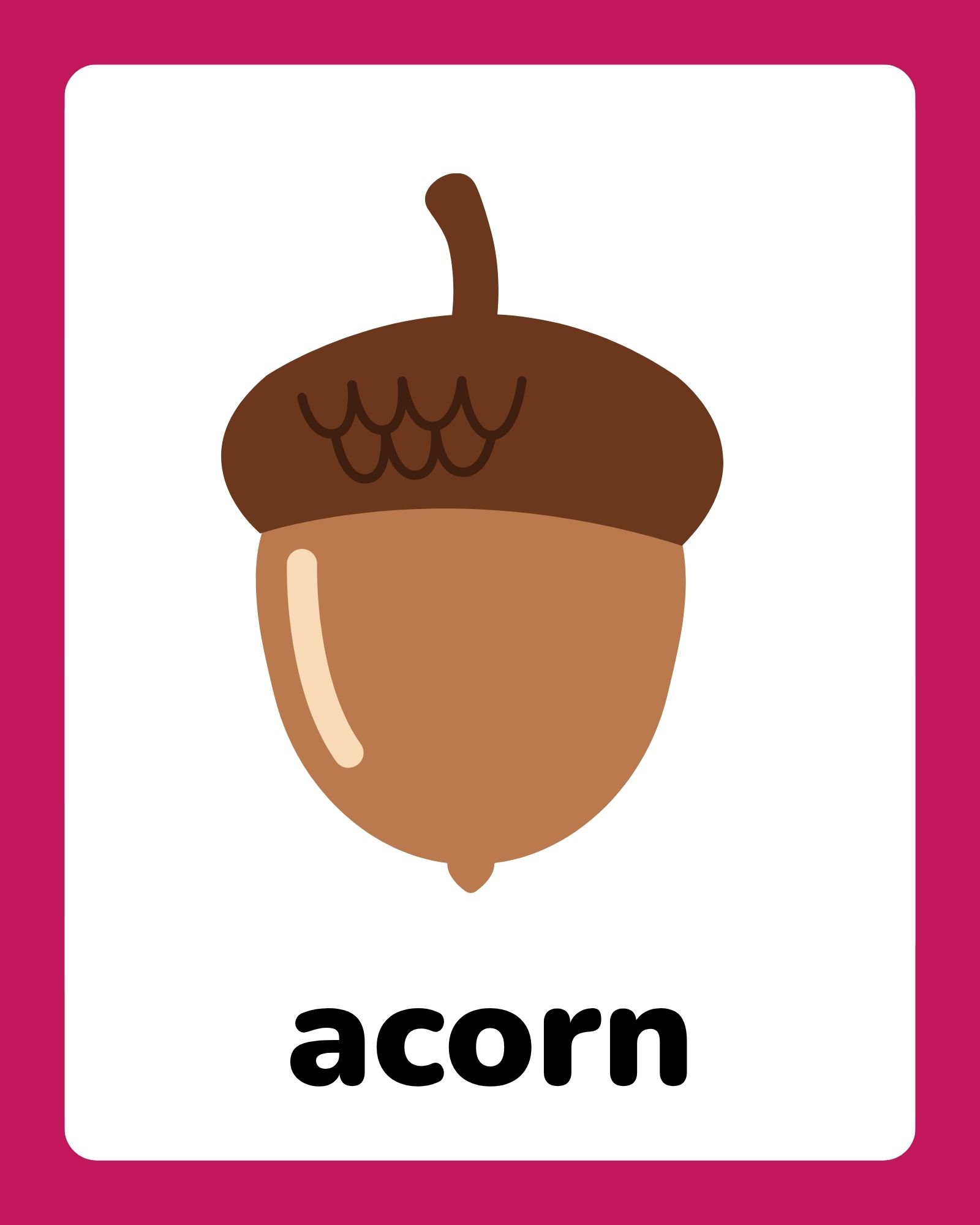 Simple vertical flashcard with a large stylized brown acorn centered on a white card and the word “acorn” below.