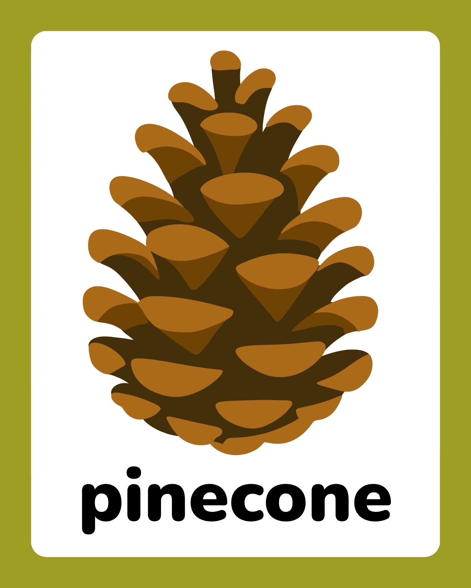Large stylized brown pinecone centered on a white rounded-rectangle card with olive-green border and bold text below.