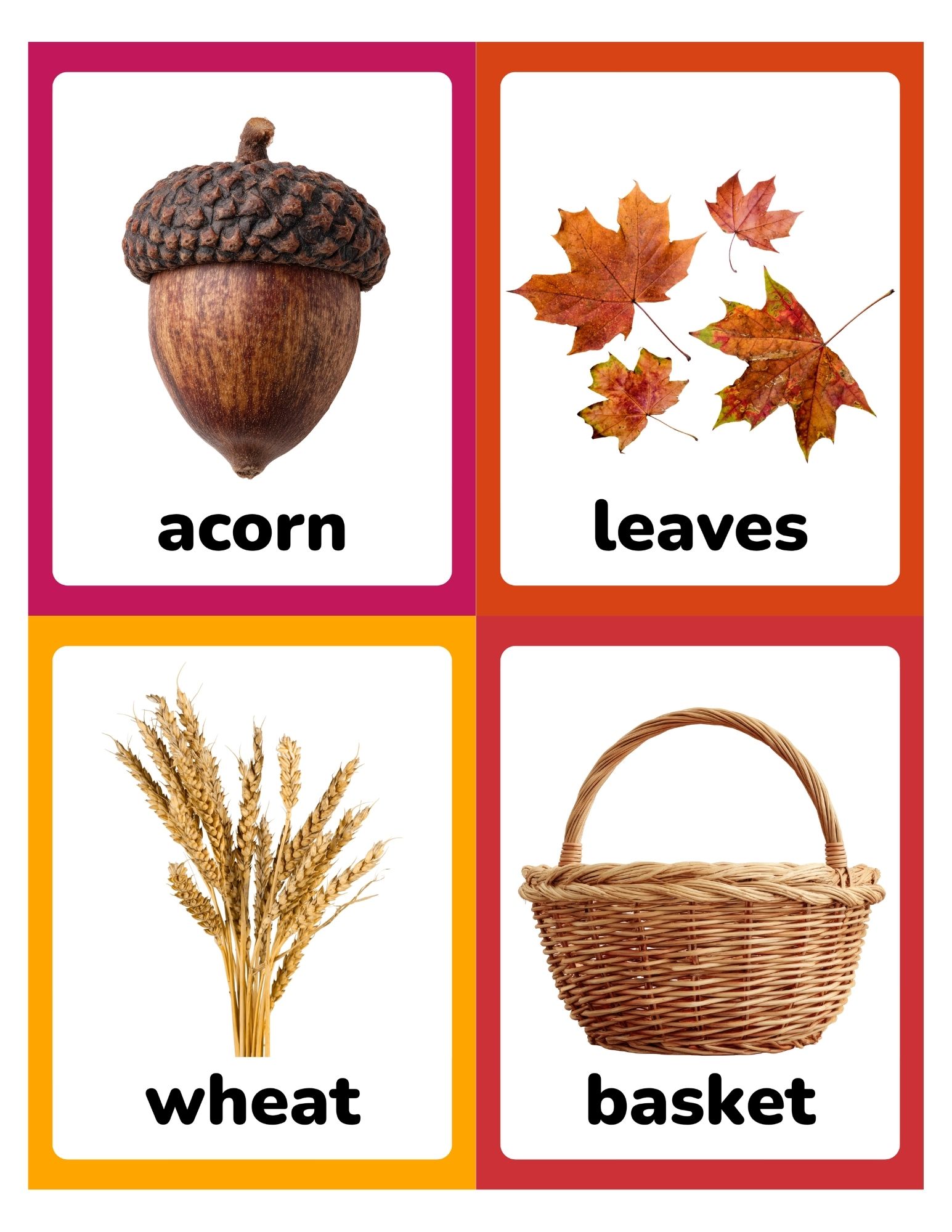 Four colorful flashcards arranged in a 2x2 grid showing acorn, autumn leaves, wheat stalks, and a wicker basket with bold labels.