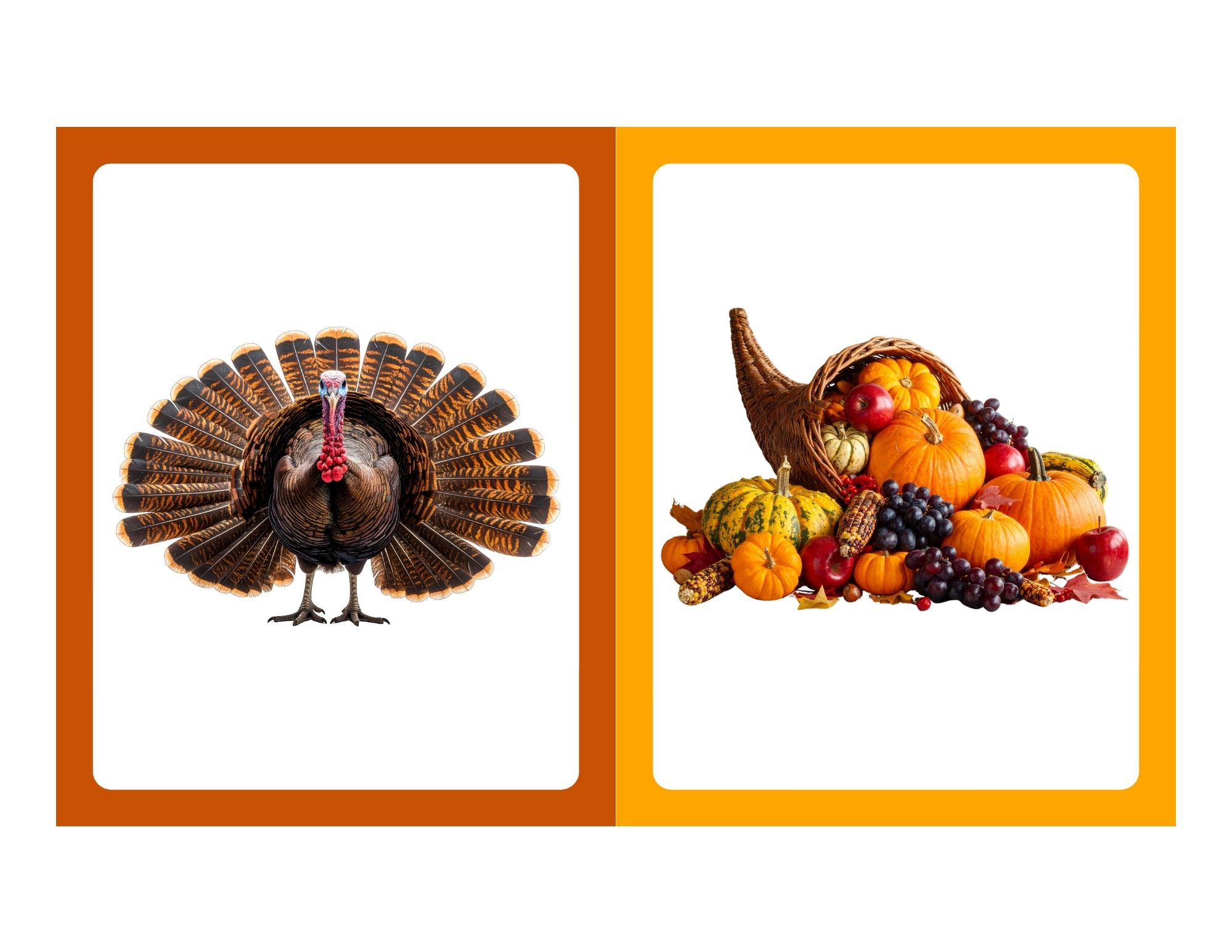 Two vertical panels with rounded white card areas: left shows a fanned turkey, right shows a cornucopia of pumpkins and fruit against orange borders.